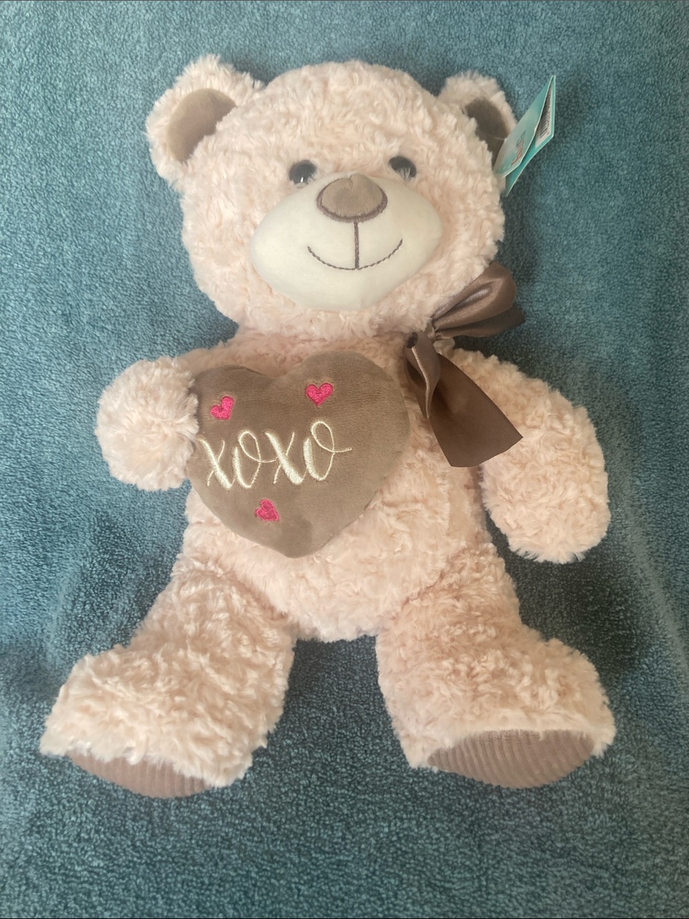 Hug me stuffed animal with heart bear plush toy plushie teddy bear